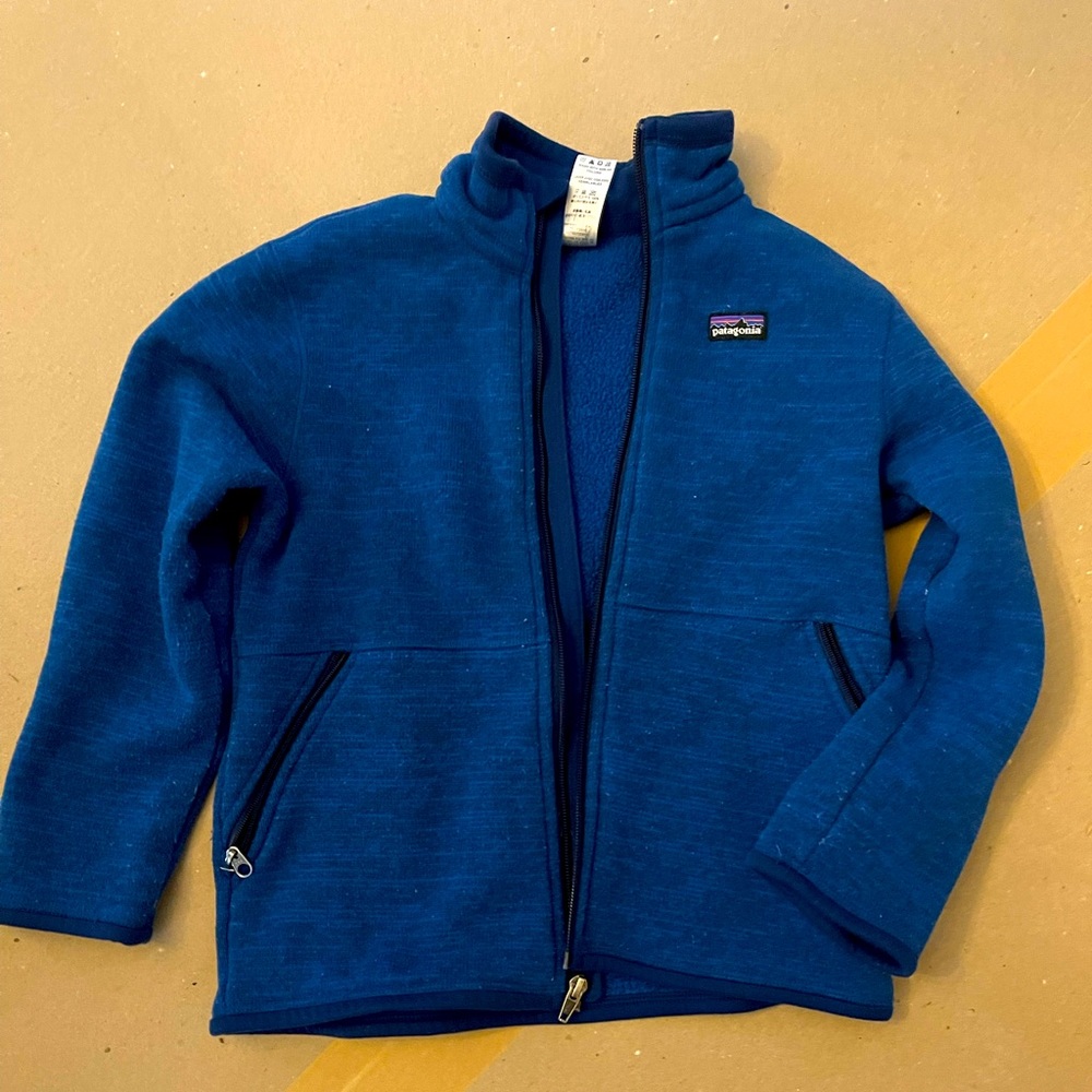 Patagonia fleece jacket